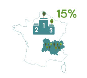 15%-20 15%-20
