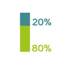 20%_80%-21 20%_80%-21