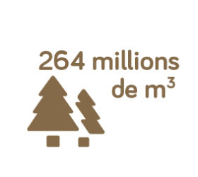 264millions-22 264millions-22