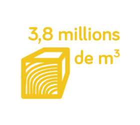 3_8millions-06 3_8millions-06
