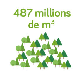 487millions-19 487millions-19