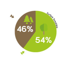 46%_54%-24-24 46%_54%-24-24