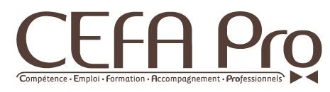 cefa pro logo
