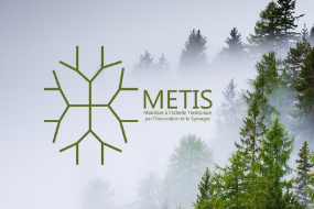 metis actu