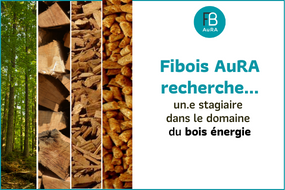 actu site web 2 285×190 (1)