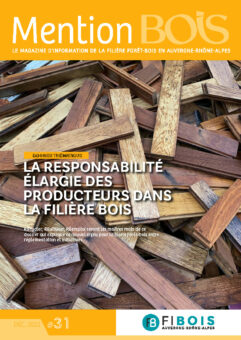 Pages de MB31_abonnement-numerique