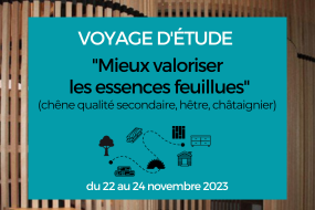 voyage feuillu