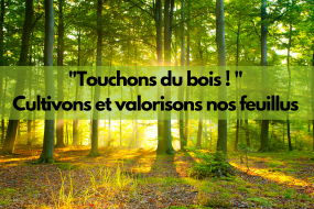 touchons du bois actu