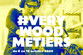 actu site web 2 285×190