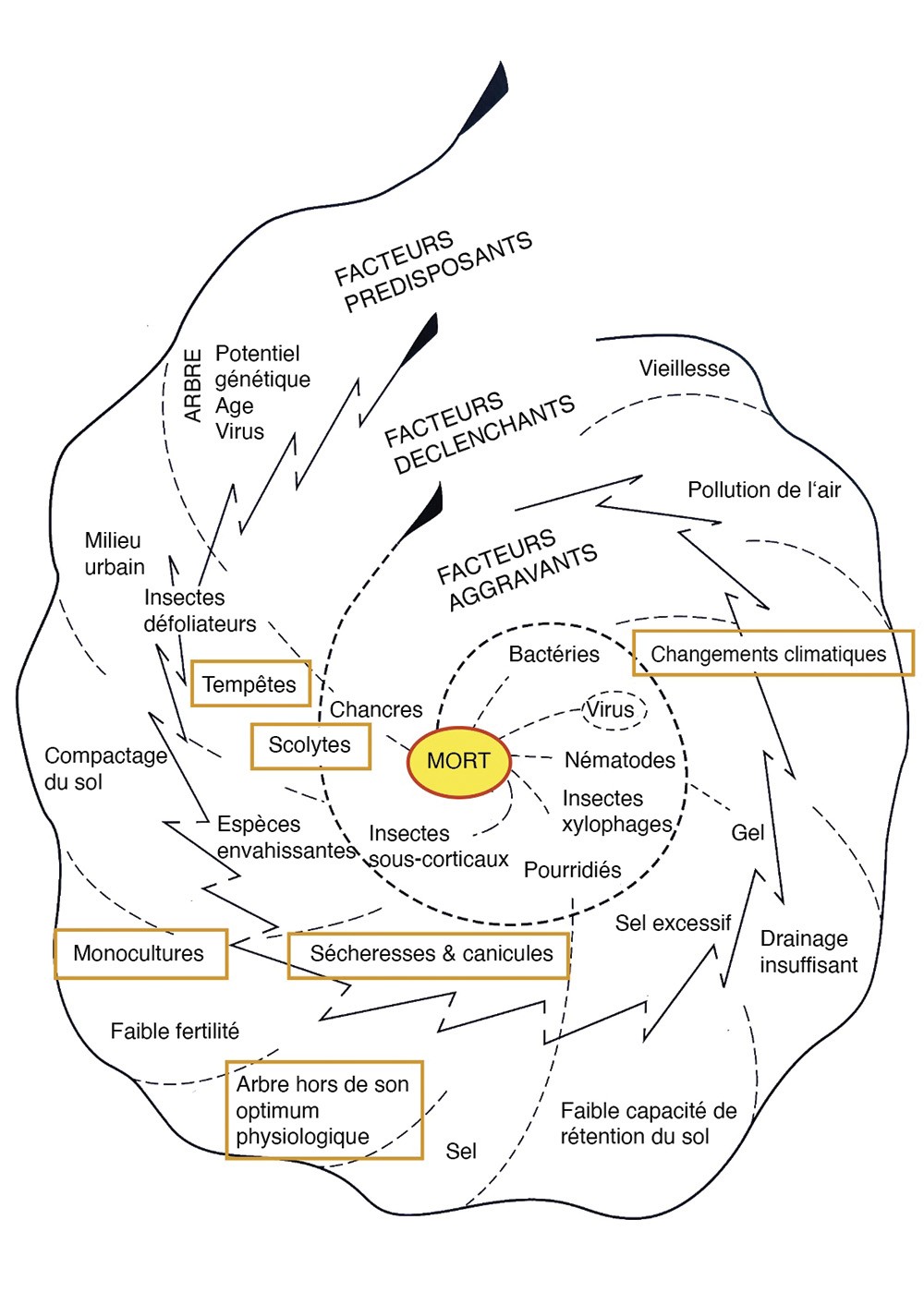 spirale deperissement