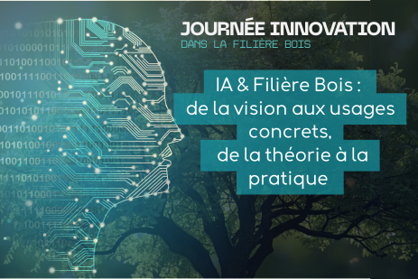 actu site web 2 285×190