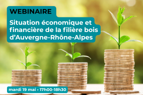 actu site web 2 285×190