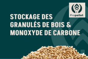 granule actu