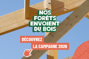 actu site web 2 285×190